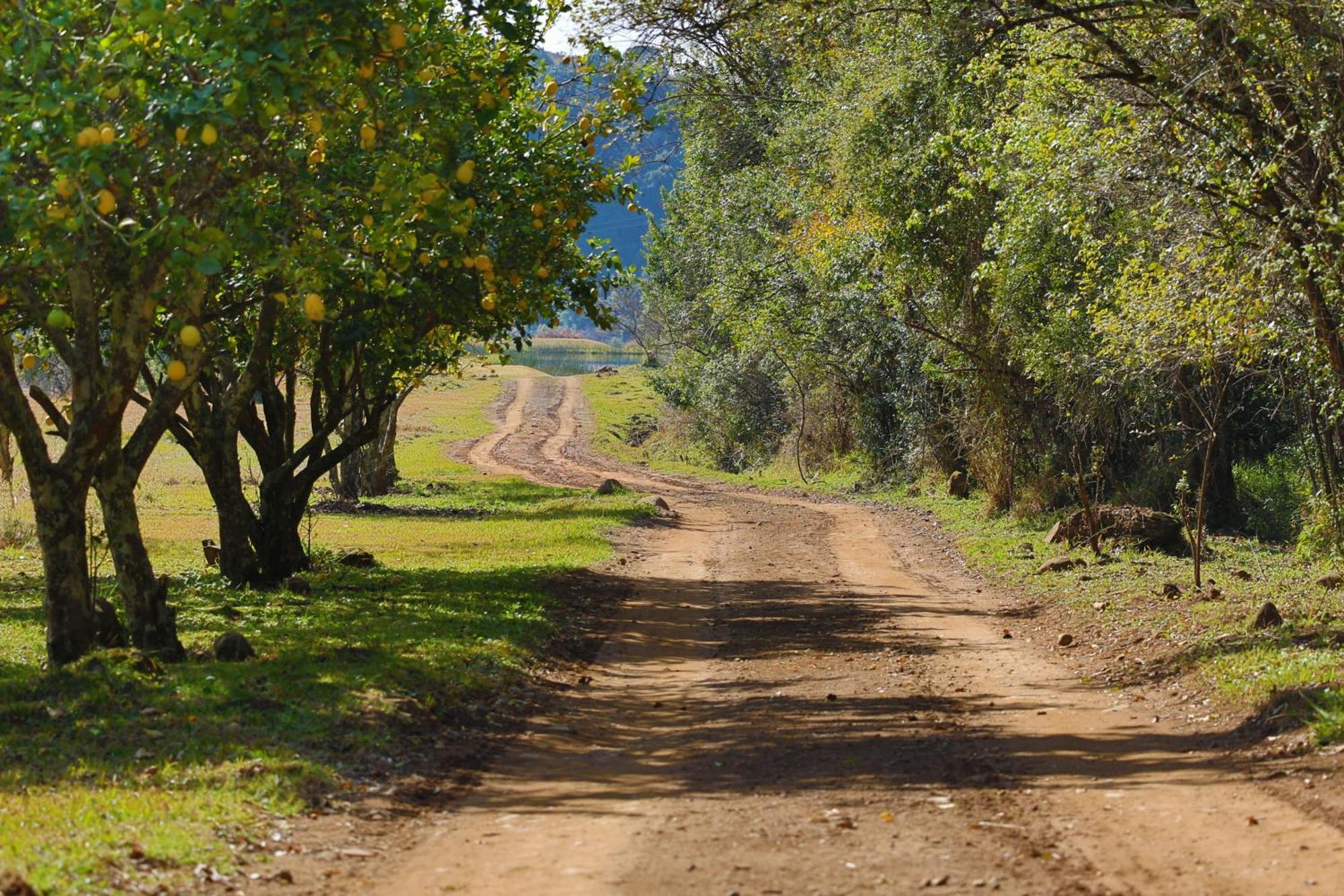 Champagne Valley Kukummi Lodge - Formerly Mackaya Bella Country Lodge מראה חיצוני תמונה